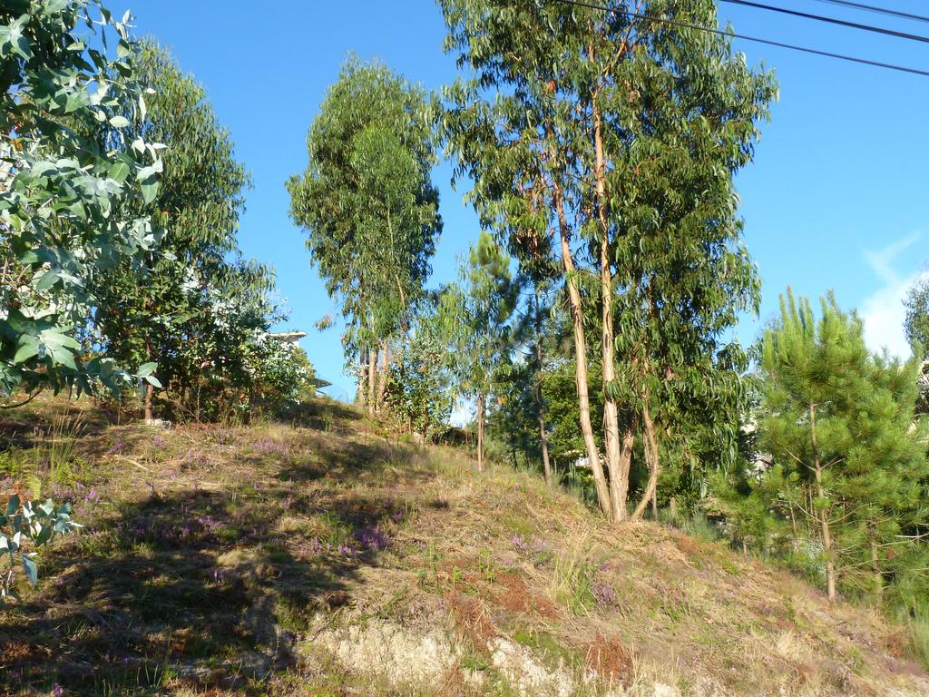 Terreno construção Póvoa de Lanhoso - Image 11
