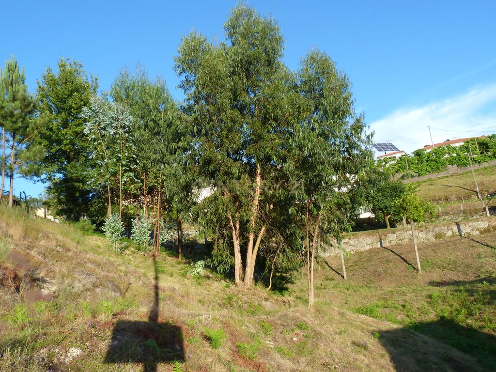 Terreno construção Póvoa de Lanhoso - Image 4