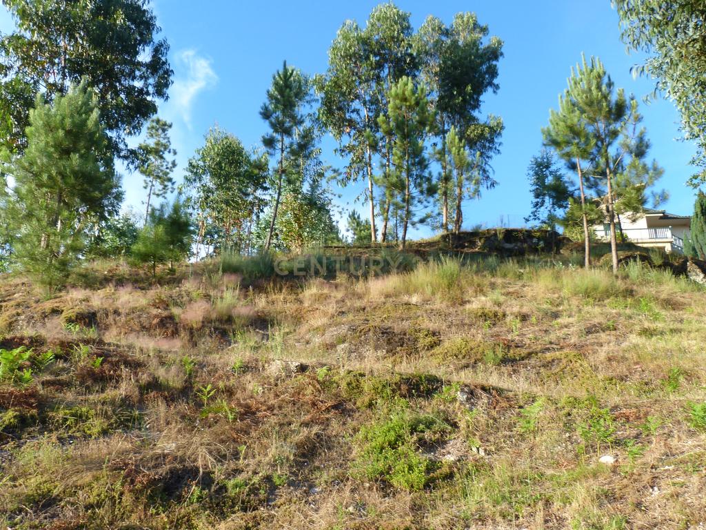 Terreno construção Póvoa de Lanhoso - Image 5