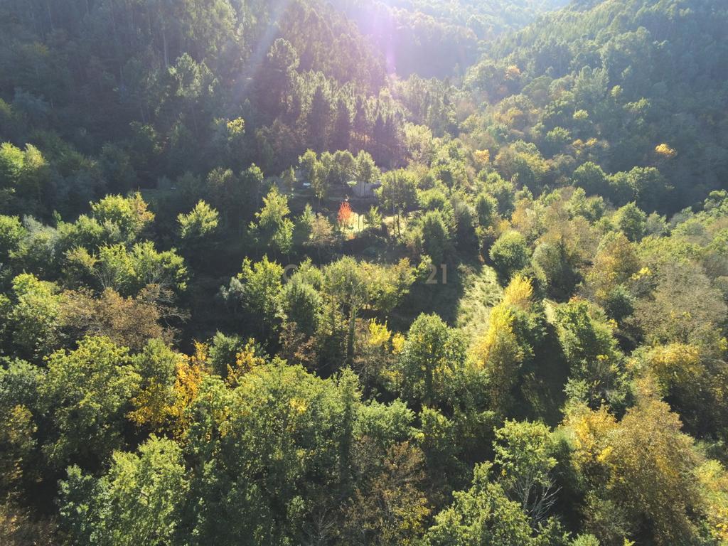 Fabulosa Quinta à Venda zona do Gerês – Um Oásis Natural com 28.000m² Terreno - Image 10
