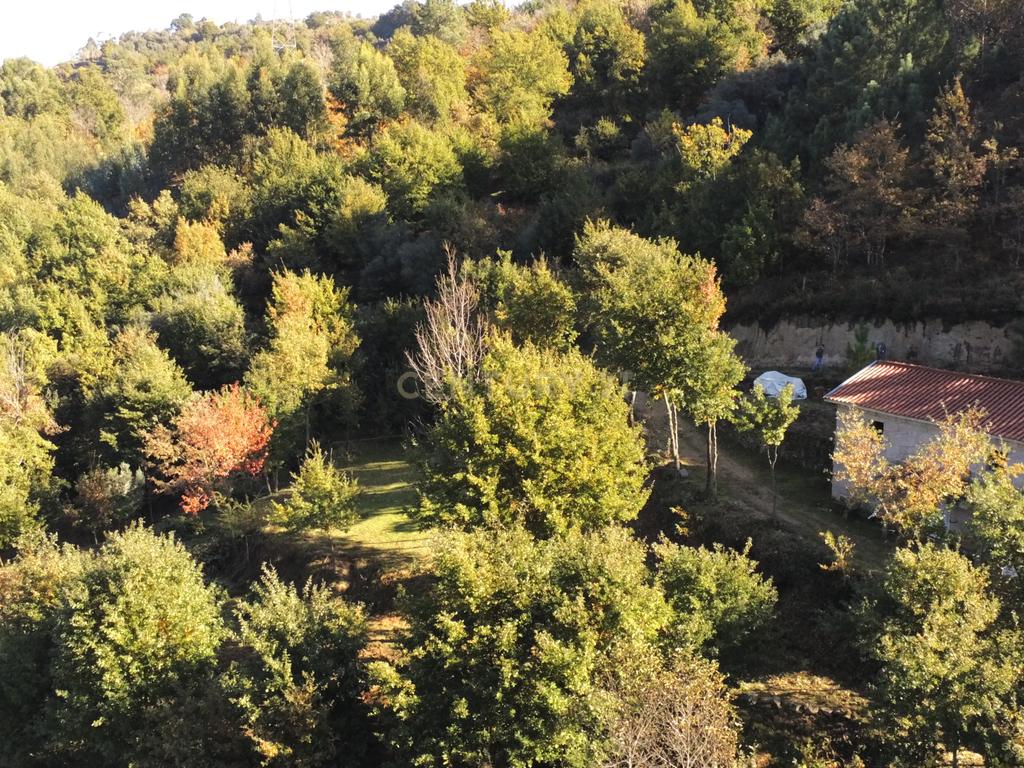 Fabulosa Quinta à Venda zona do Gerês – Um Oásis Natural com 28.000m² Terreno - Image 11