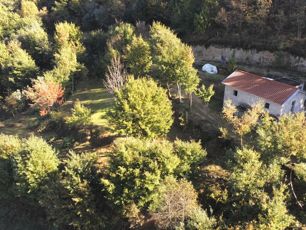 Fabulosa Quinta à Venda zona do Gerês – Um Oásis Natural com 28.000m² Terreno - Image 12