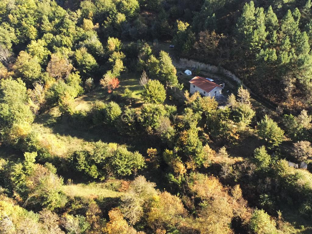 Fabulosa Quinta à Venda zona do Gerês – Um Oásis Natural com 28.000m² Terreno - Image 13