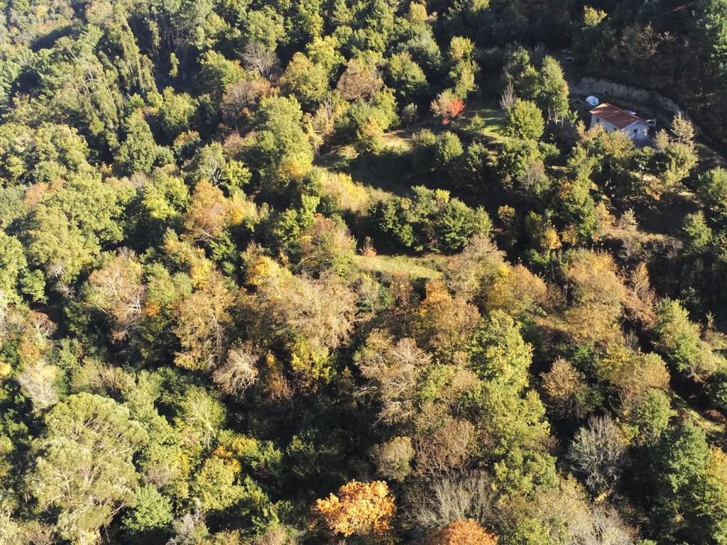 Fabulosa Quinta à Venda zona do Gerês – Um Oásis Natural com 28.000m² Terreno - Image 14