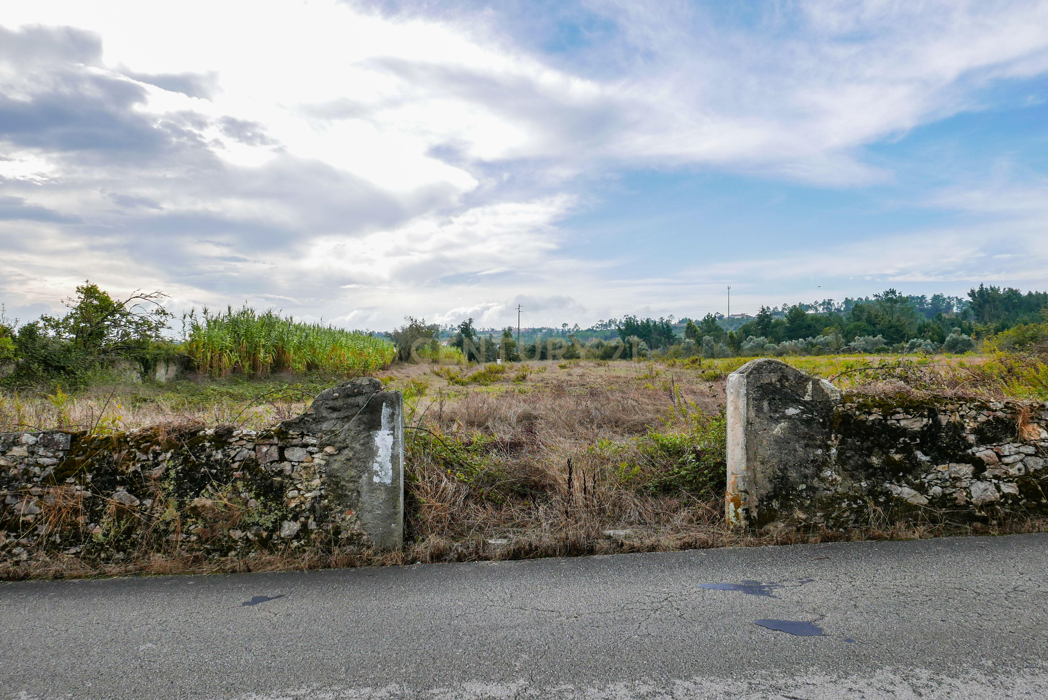Terreno para construção com quatro mil metros quadrados, perto da Junta de Freguesia das Alhadas e Jardim-Escola João de Deus nas Alhadas, Figueira da Foz. - Image 12
