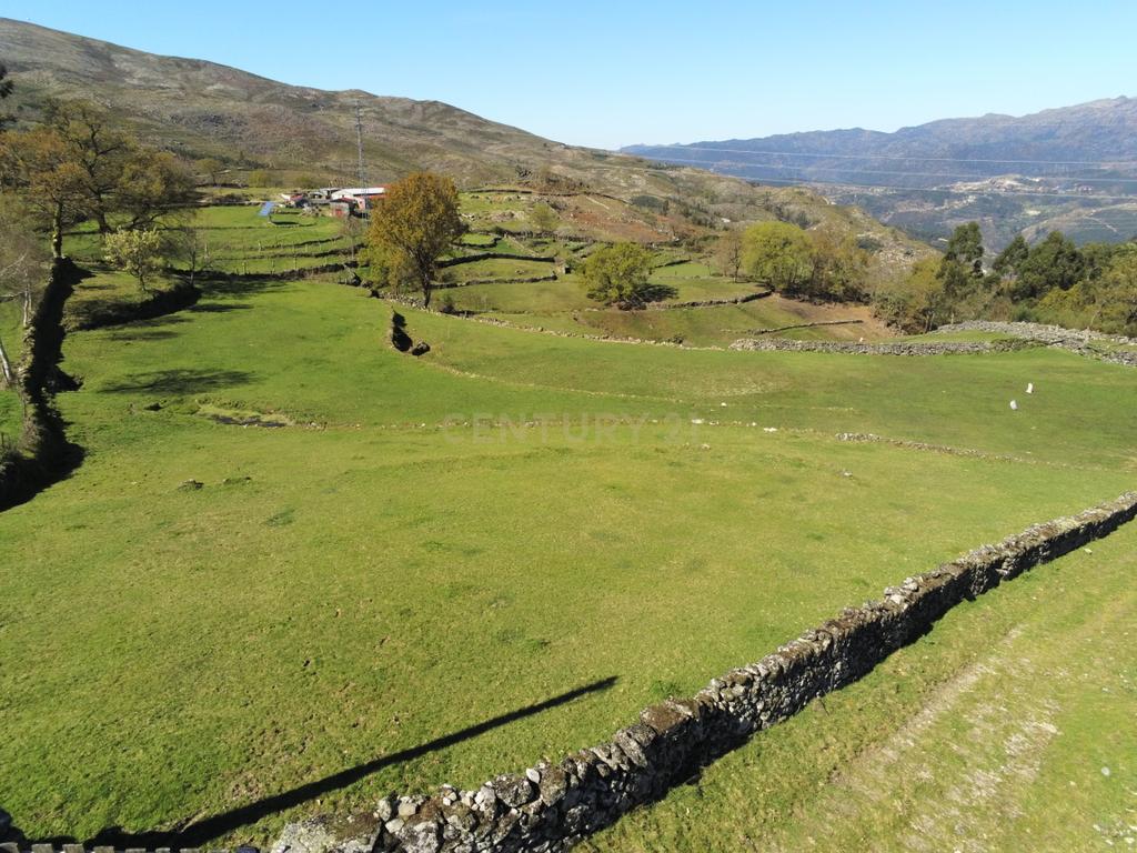 Quinta com água Nascente na Zona de Gerês - Image 8
