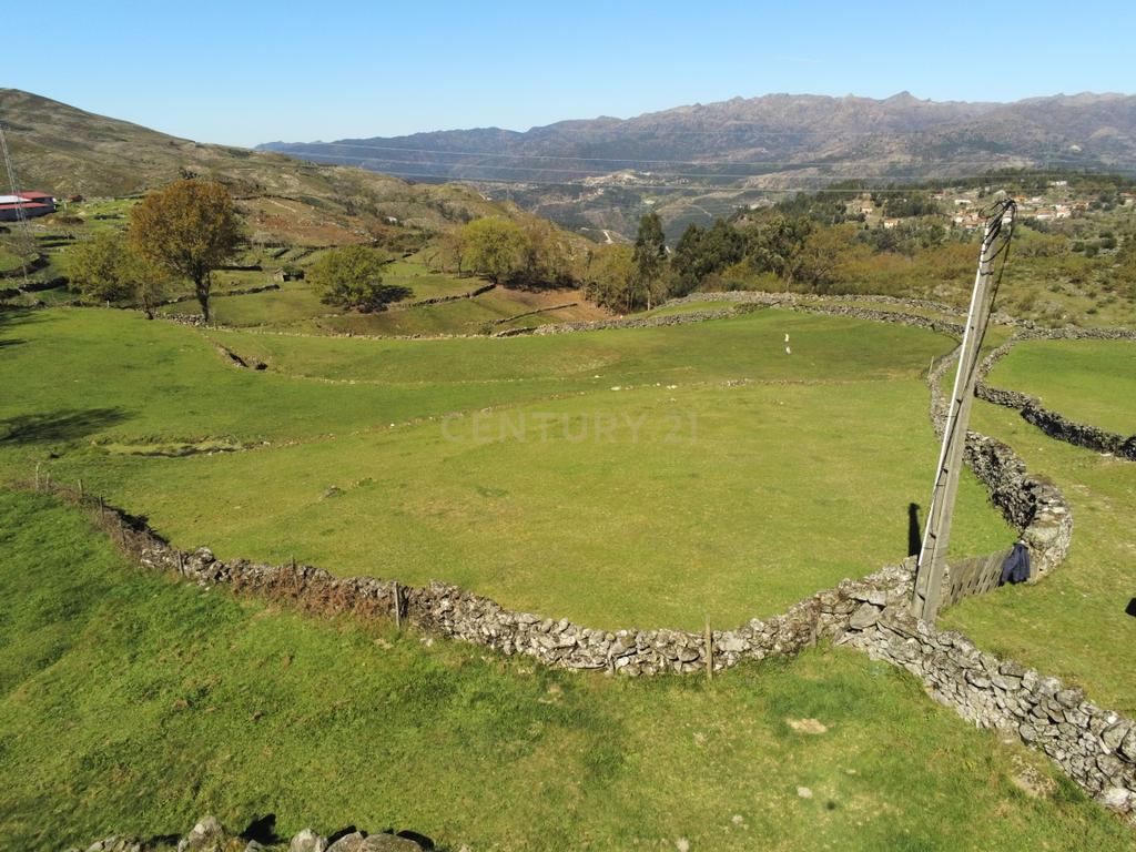 Quinta com água Nascente na Zona de Gerês - Image 3