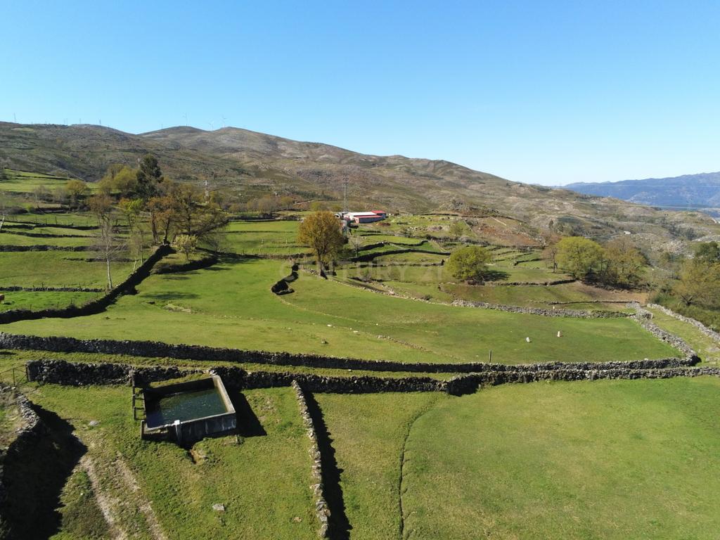 Quinta com água Nascente na Zona de Gerês - Image 10