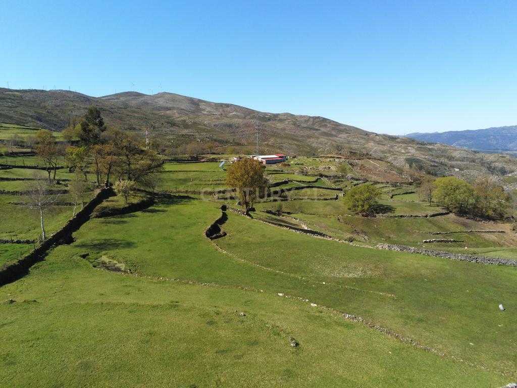 Quinta com água Nascente na Zona de Gerês - Image 11