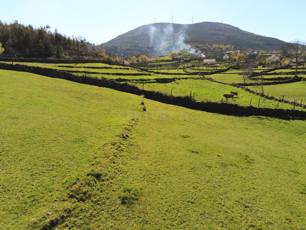 Quinta com água Nascente na Zona de Gerês - Image 12