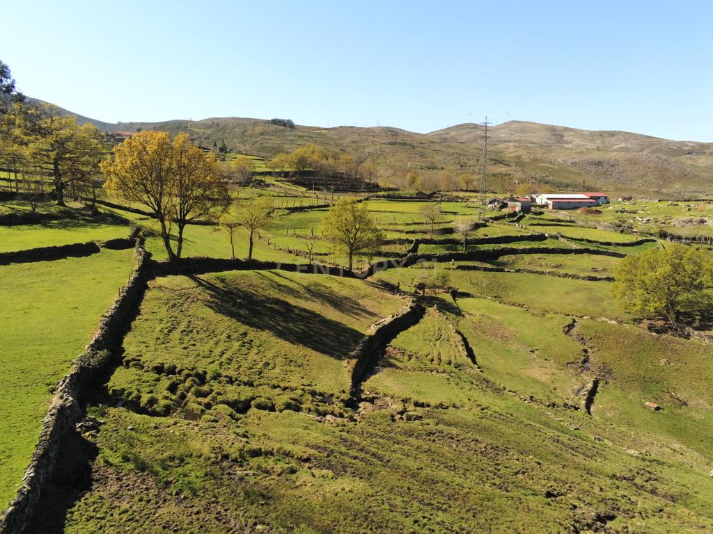Quinta com água Nascente na Zona de Gerês - Image 2