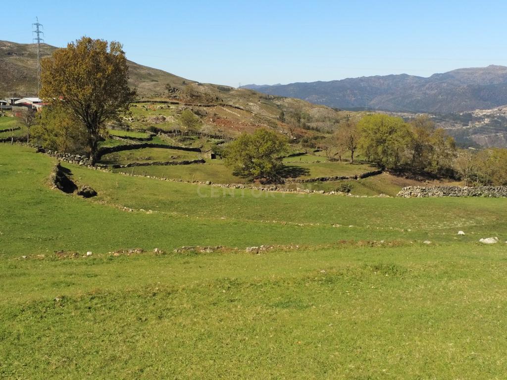 Quinta com água Nascente na Zona de Gerês - Image 14