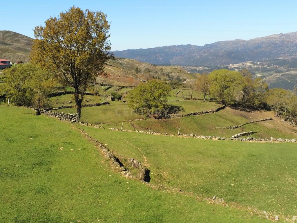Quinta com água Nascente na Zona de Gerês - Image 15