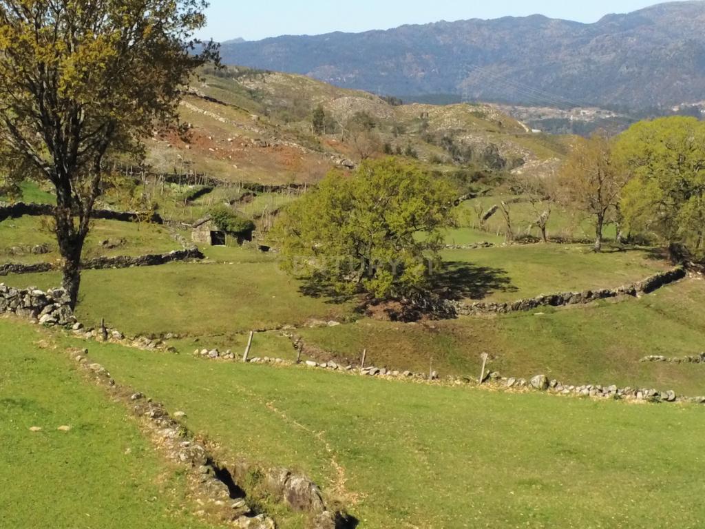 Quinta com água Nascente na Zona de Gerês - Image 16