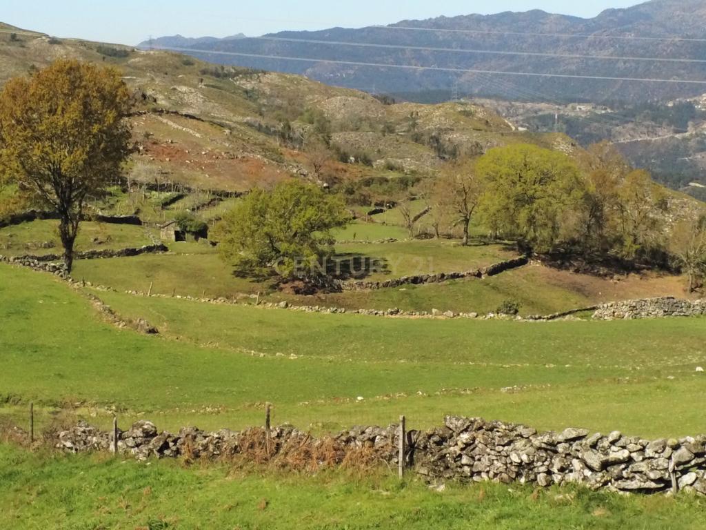 Quinta com água Nascente na Zona de Gerês - Image 17