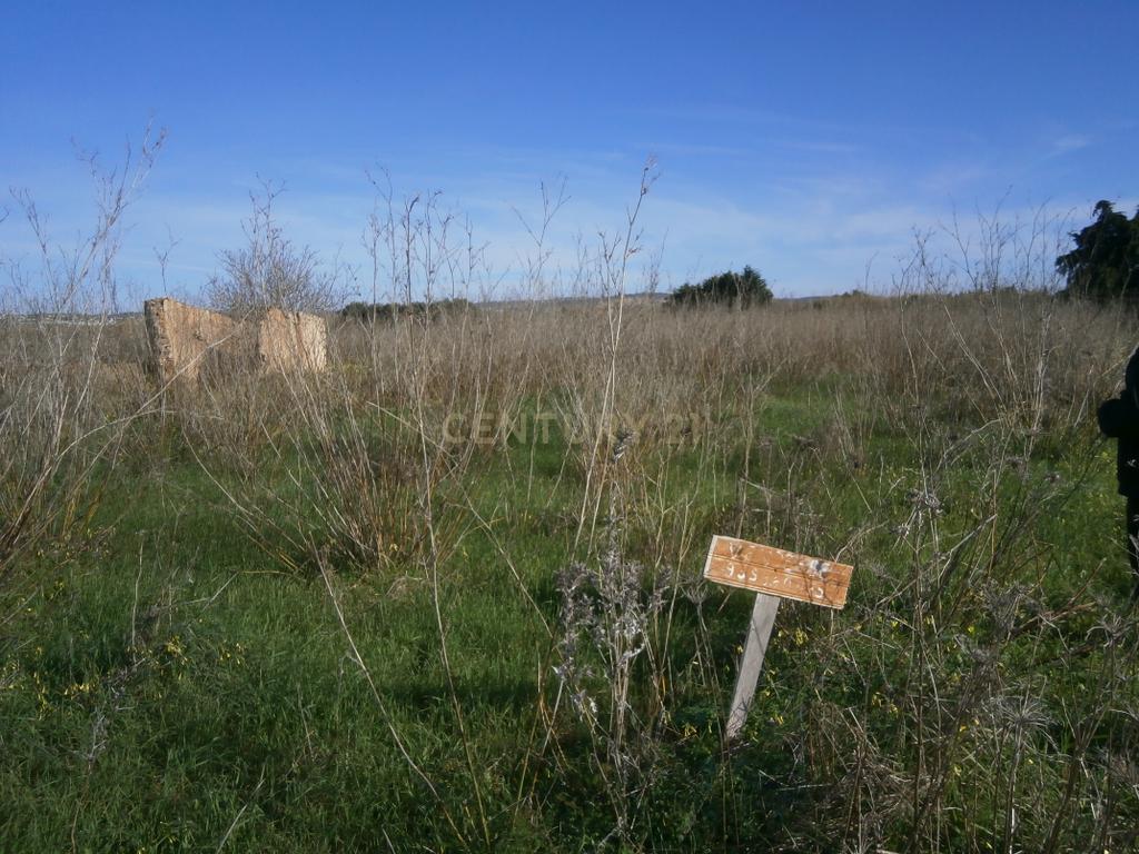 Terreno Rústico com 3340m2. - Image 6