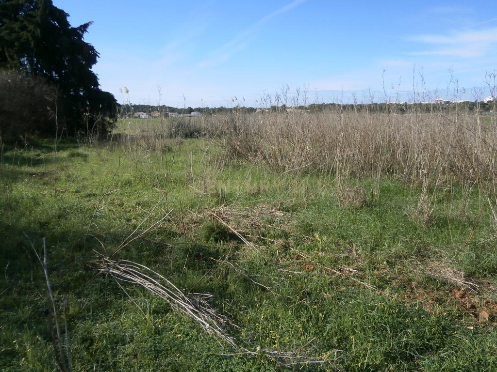 Terreno Rústico com 3340m2. - Image 5