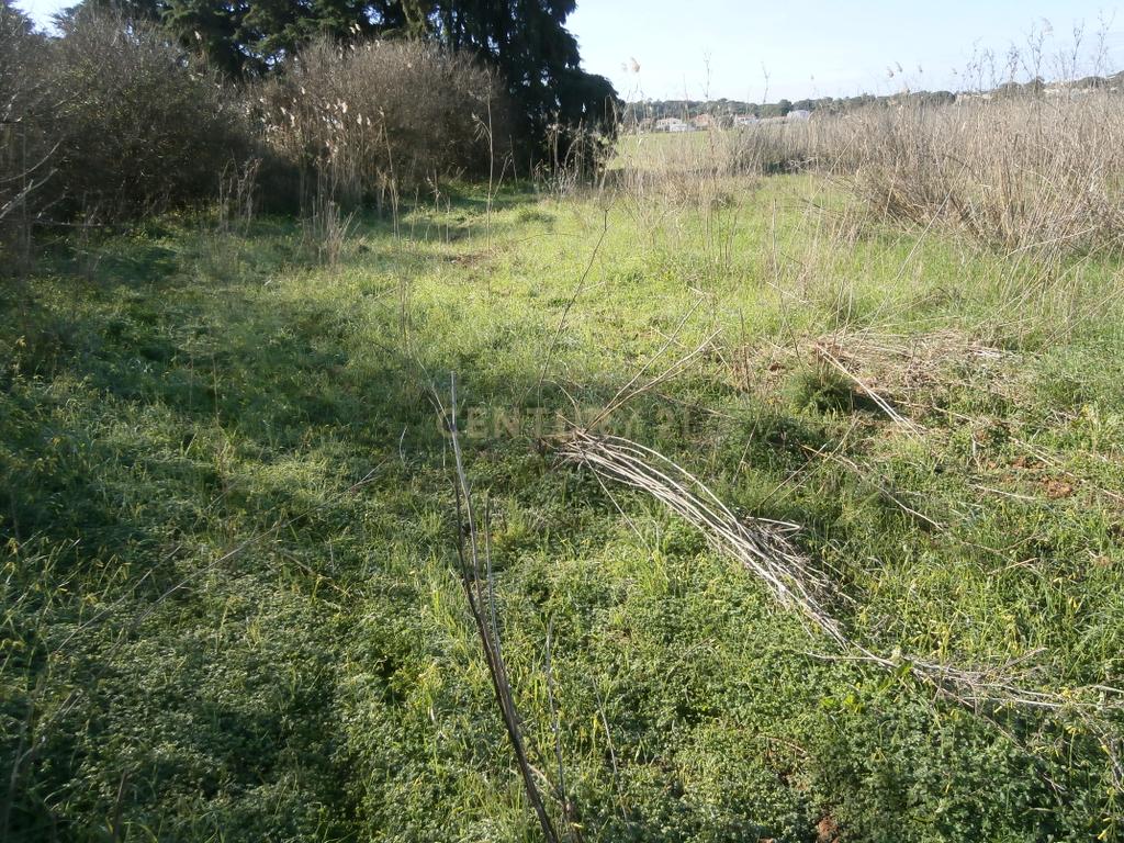 Terreno Rústico com 3340m2. - Image 4