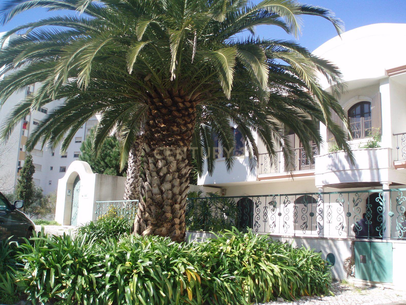 Moradia T4 - Massamá Centro - Image 2