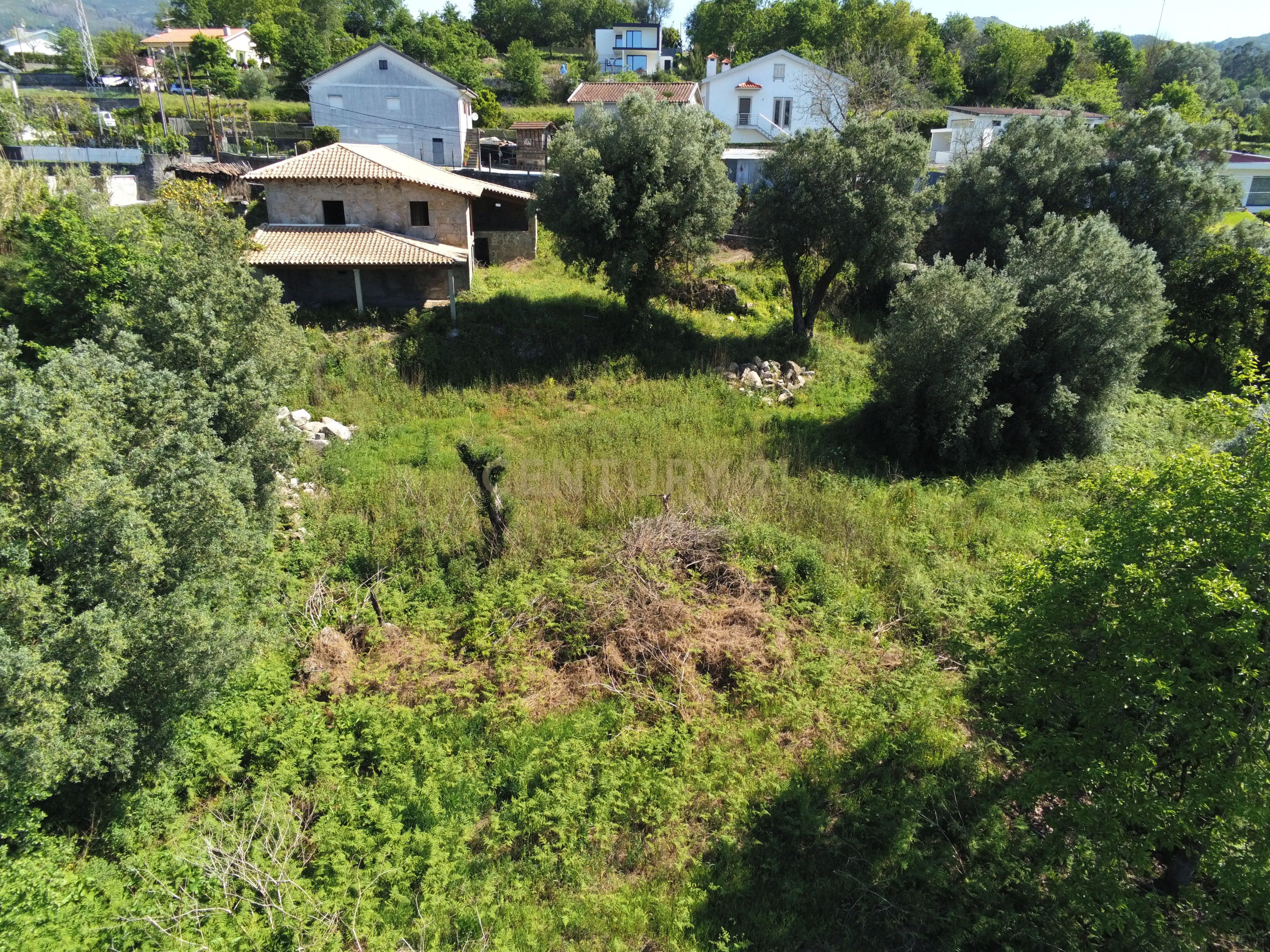 Quinta em pico de Regalados, vila verde com Casa smi restaurada - Image 25