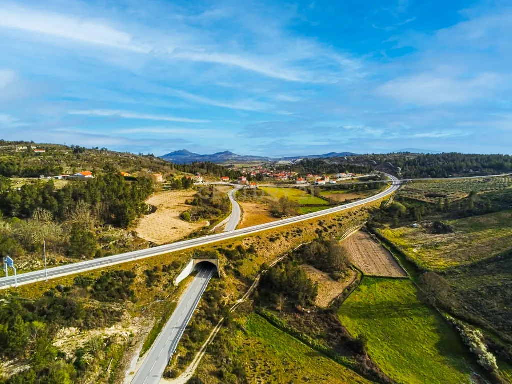 Empreendimento - Quinta com 3,5ha (35.288m²) - Moradia T5, com amendoeiras e oliveiras. Vila Flor - Bragança - Image 21