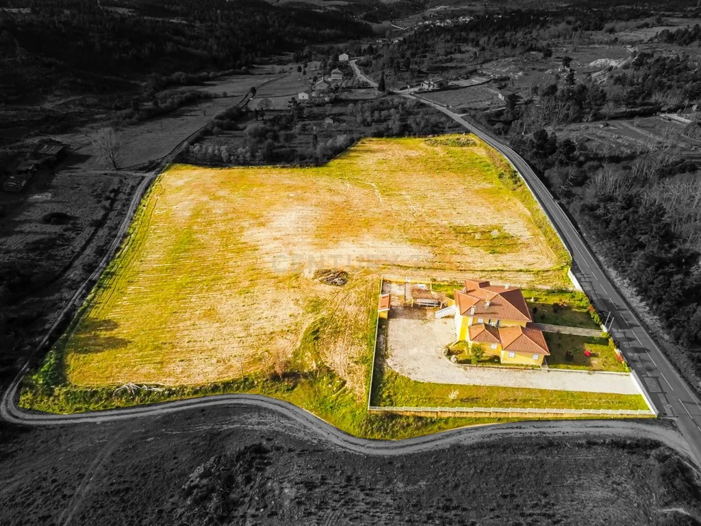 Empreendimento - Quinta com 3,5ha (35.288m²) - Moradia T5, com amendoeiras e oliveiras. Vila Flor - Bragança - Image 1