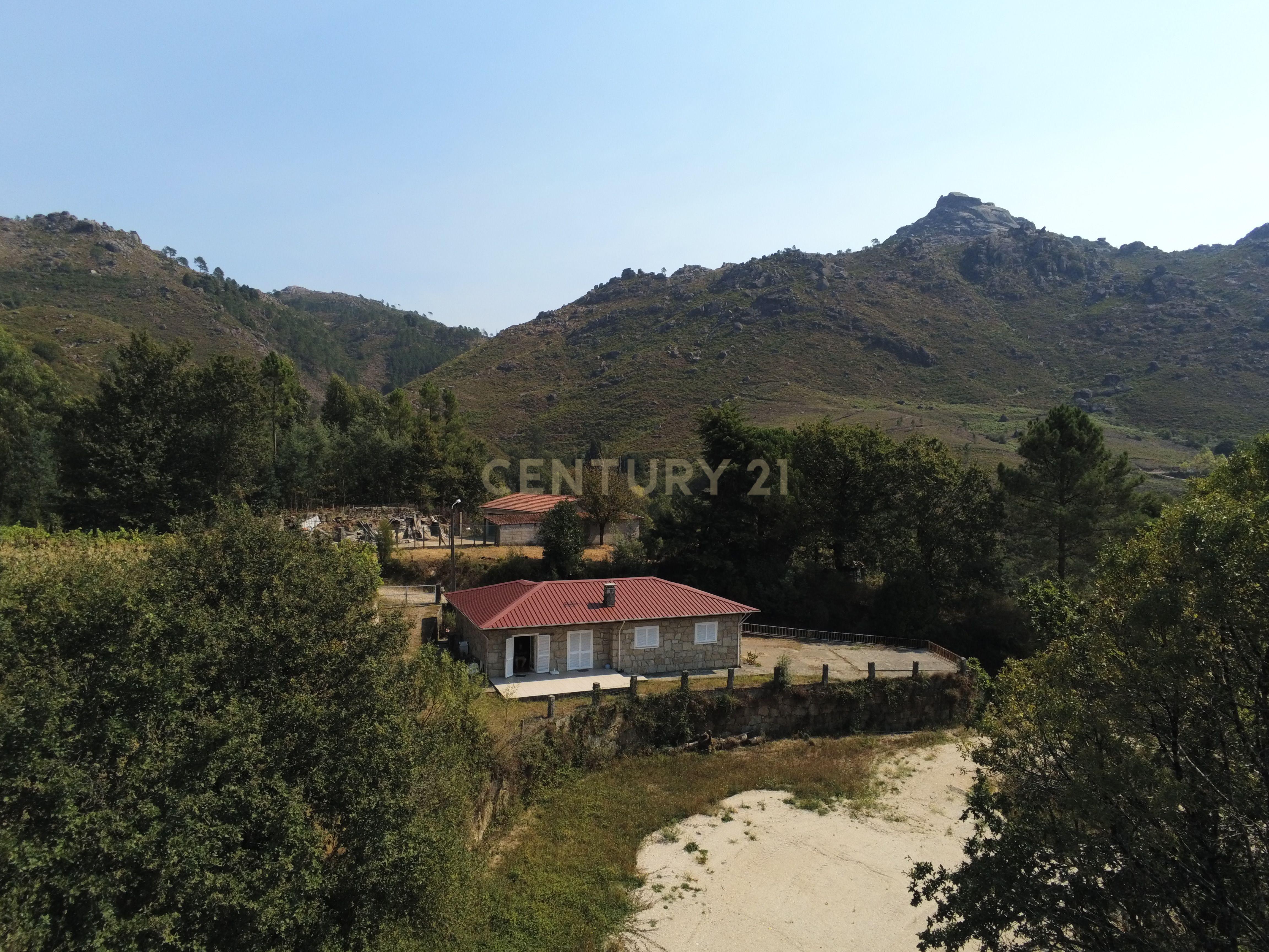 Moradia Térrea com 10.000m2 tereno no Gerês - Image 5