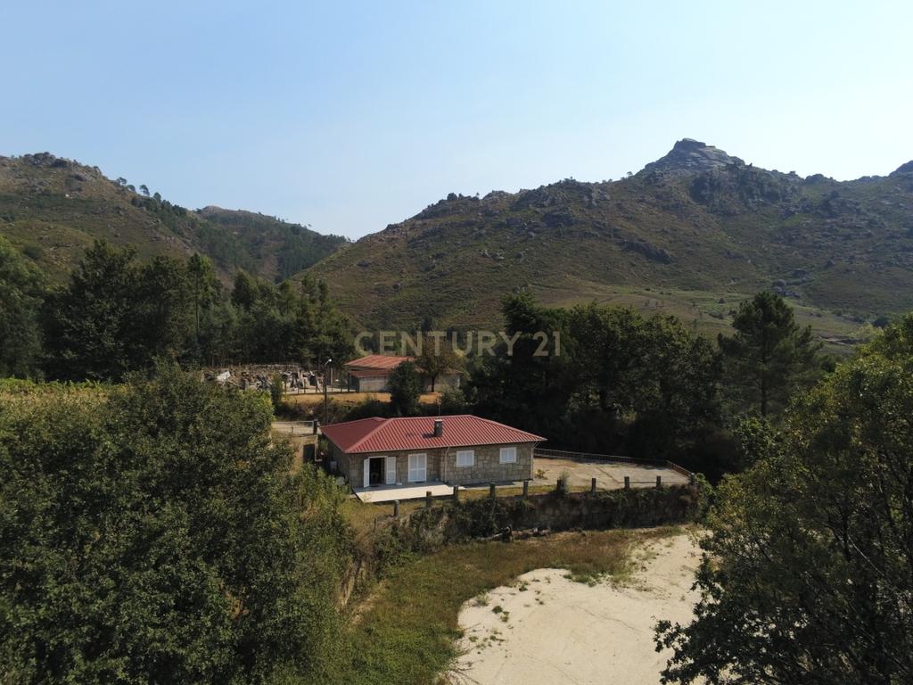 Moradia Térrea com 10.000m2 tereno no Gerês - Image 4