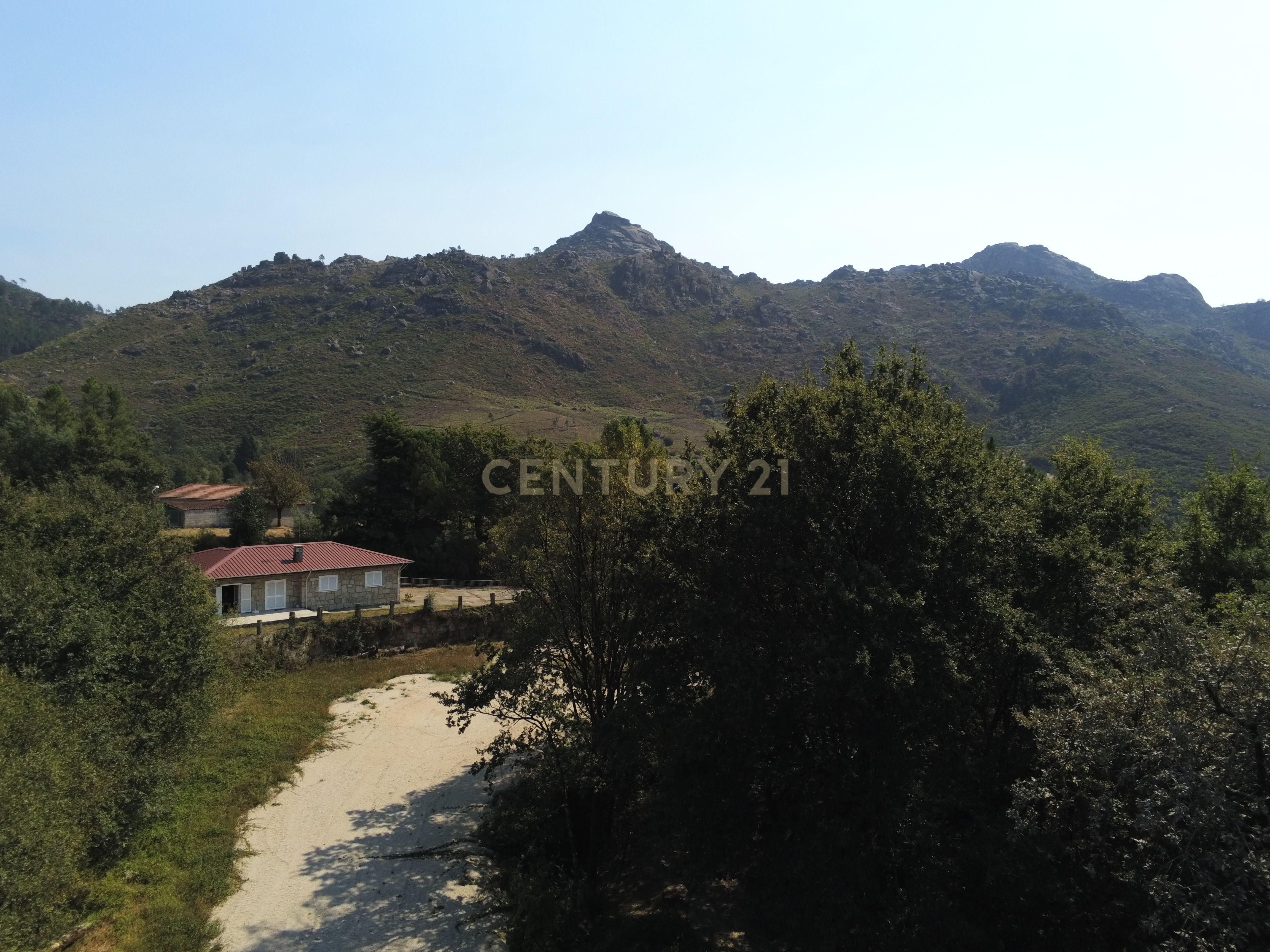 Moradia Térrea com 10.000m2 tereno no Gerês - Image 25