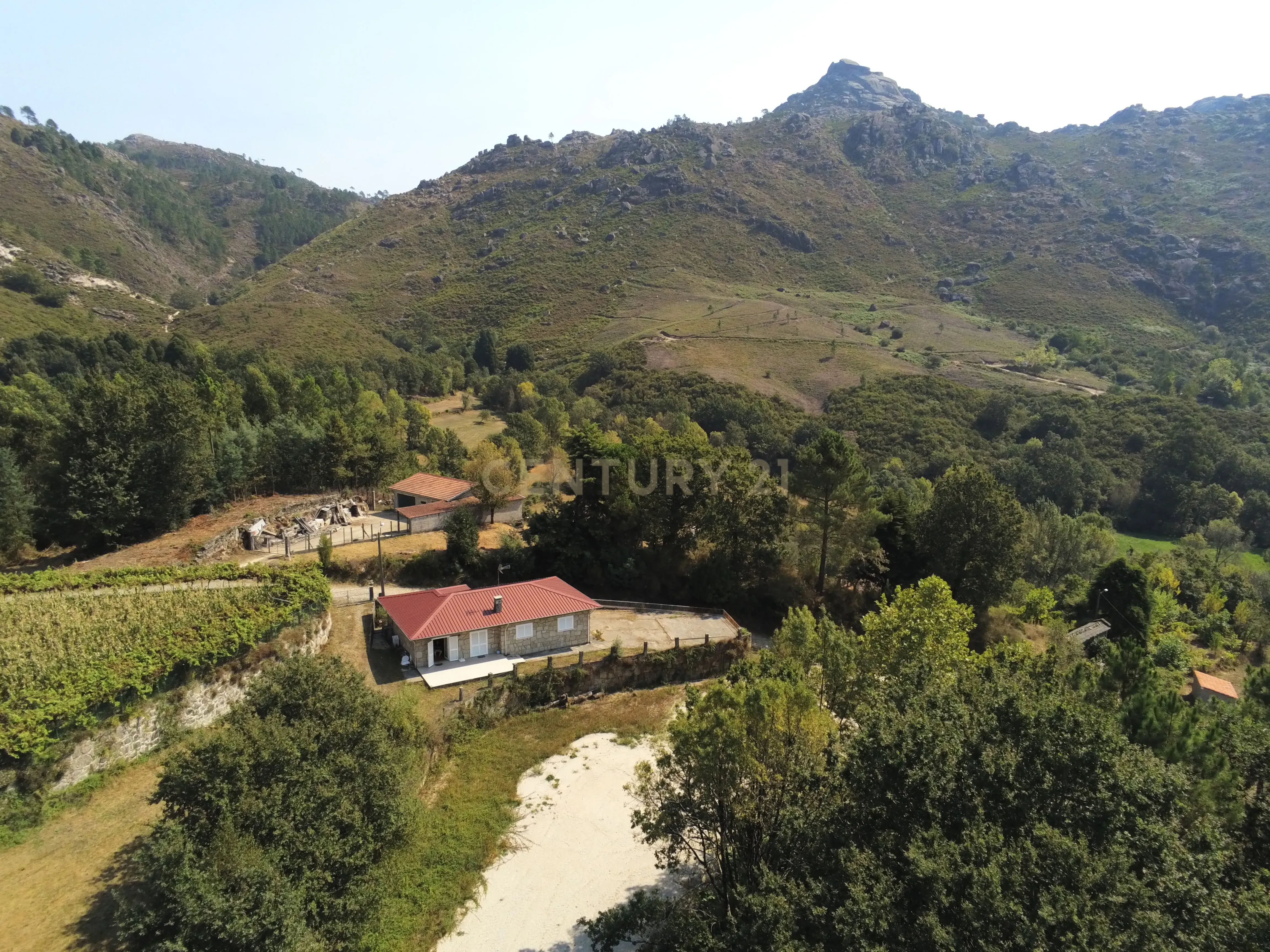 Moradia Térrea com 10.000m2 tereno no Gerês - Image 1