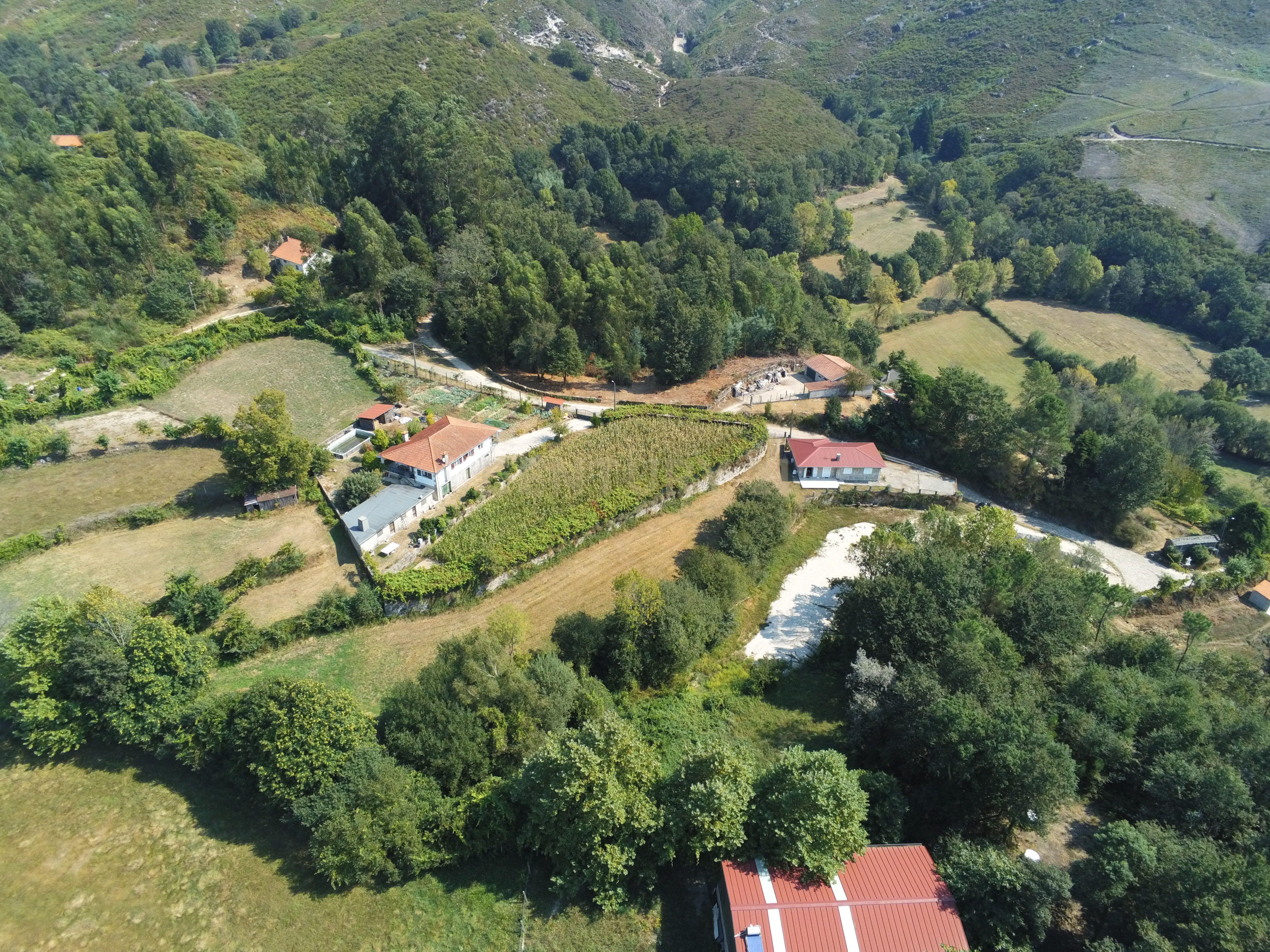 Moradia Térrea com 10.000m2 tereno no Gerês - Image 4