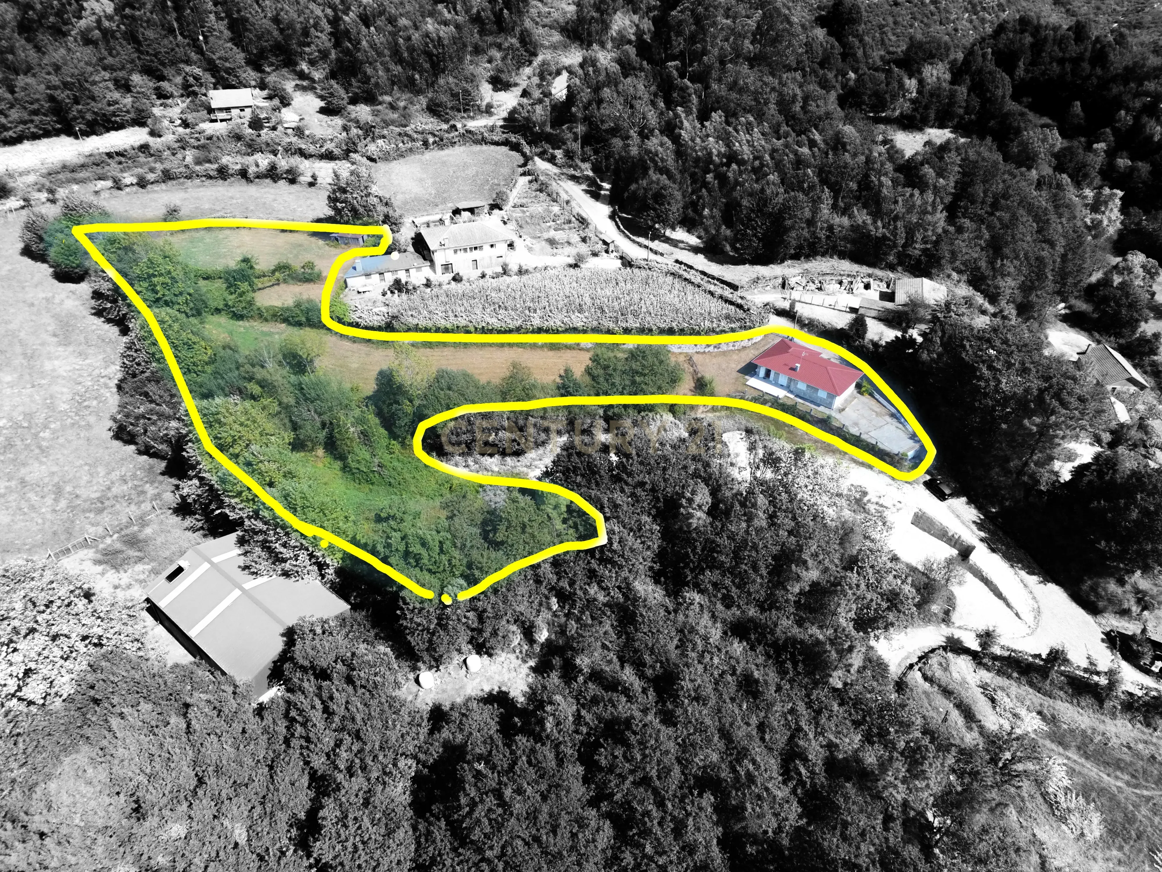 Moradia Térrea com 10.000m2 tereno no Gerês - Image 10