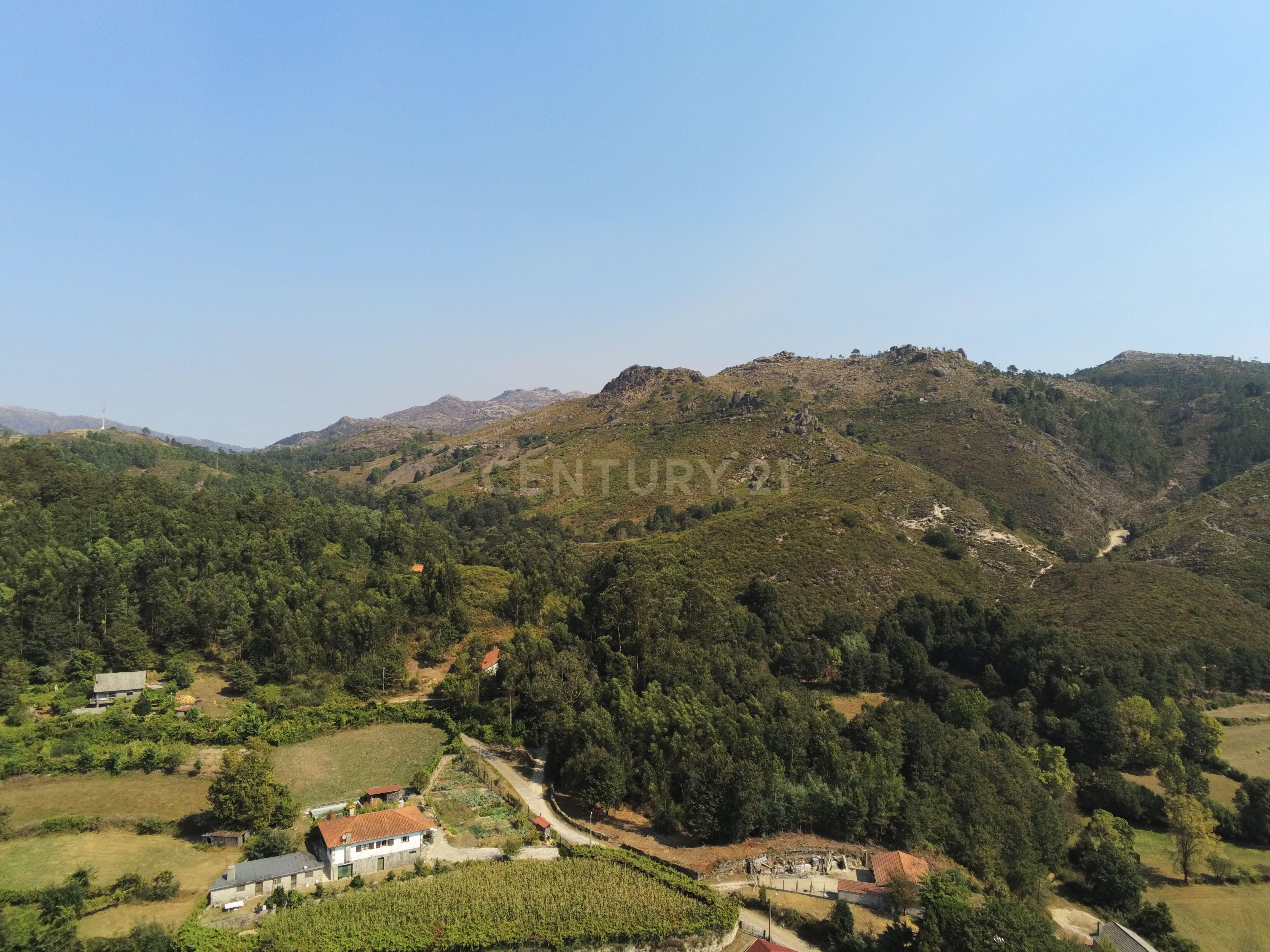 Moradia Térrea com 10.000m2 tereno no Gerês - Image 26