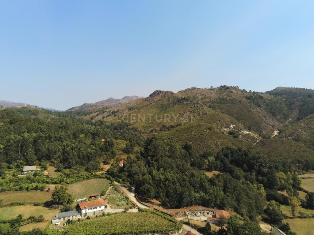 Moradia Térrea com 10.000m2 tereno no Gerês - Image 19
