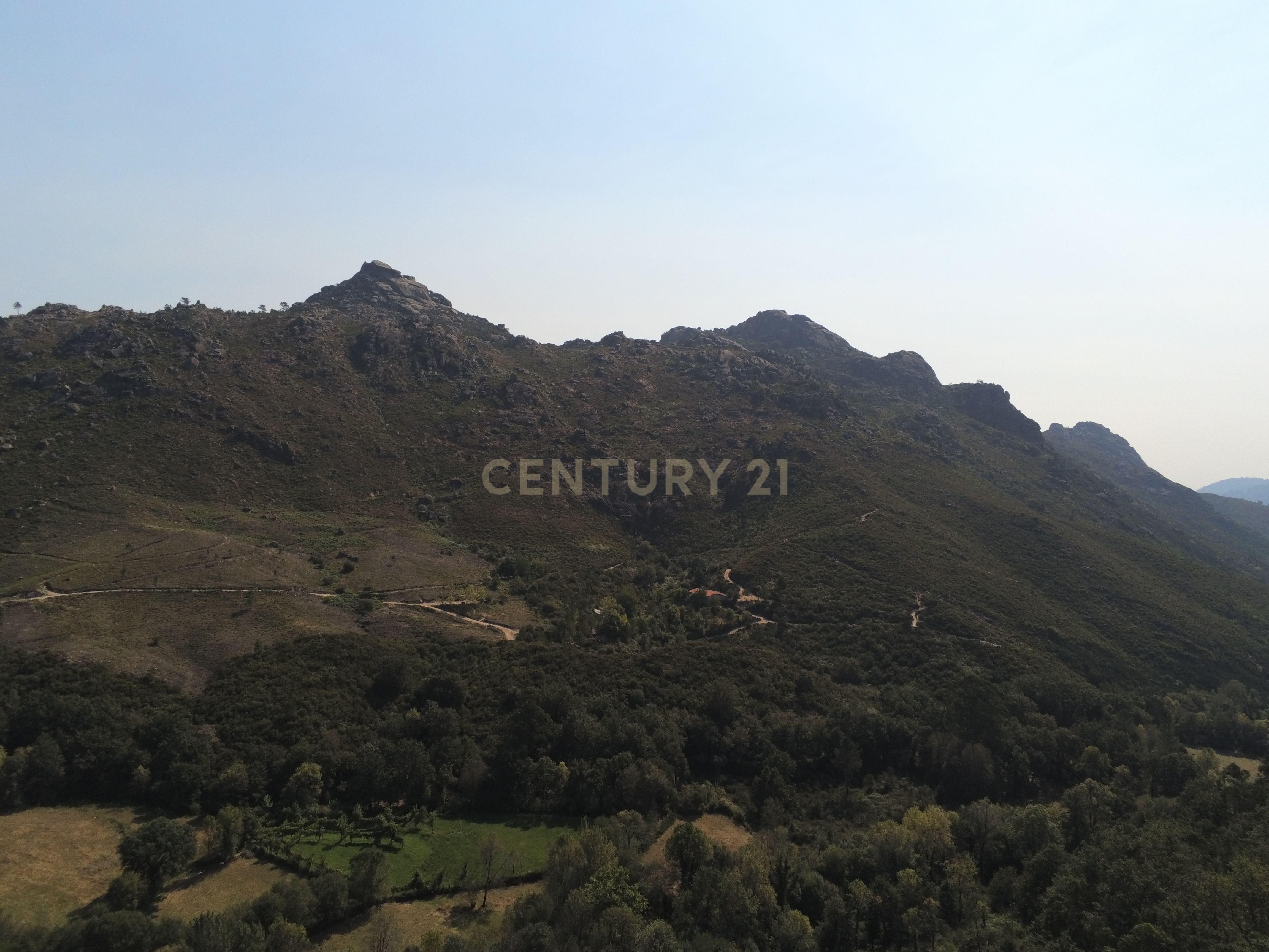 Moradia Térrea com 10.000m2 tereno no Gerês - Image 27