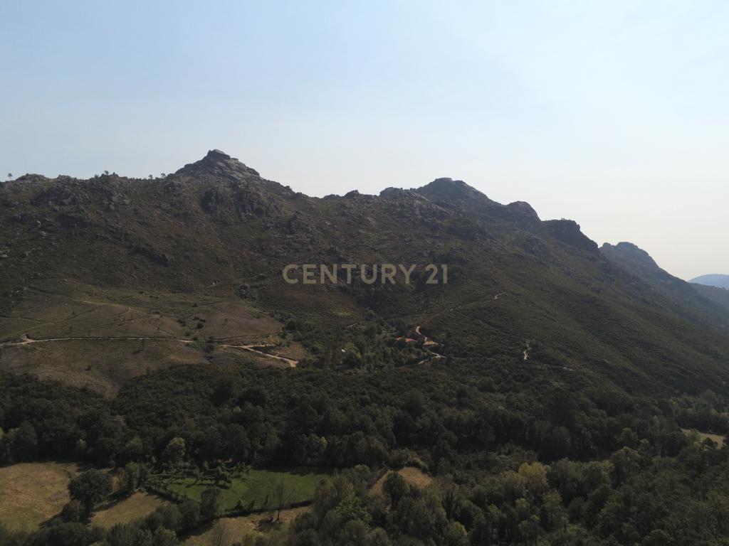 Moradia Térrea com 10.000m2 tereno no Gerês - Image 20