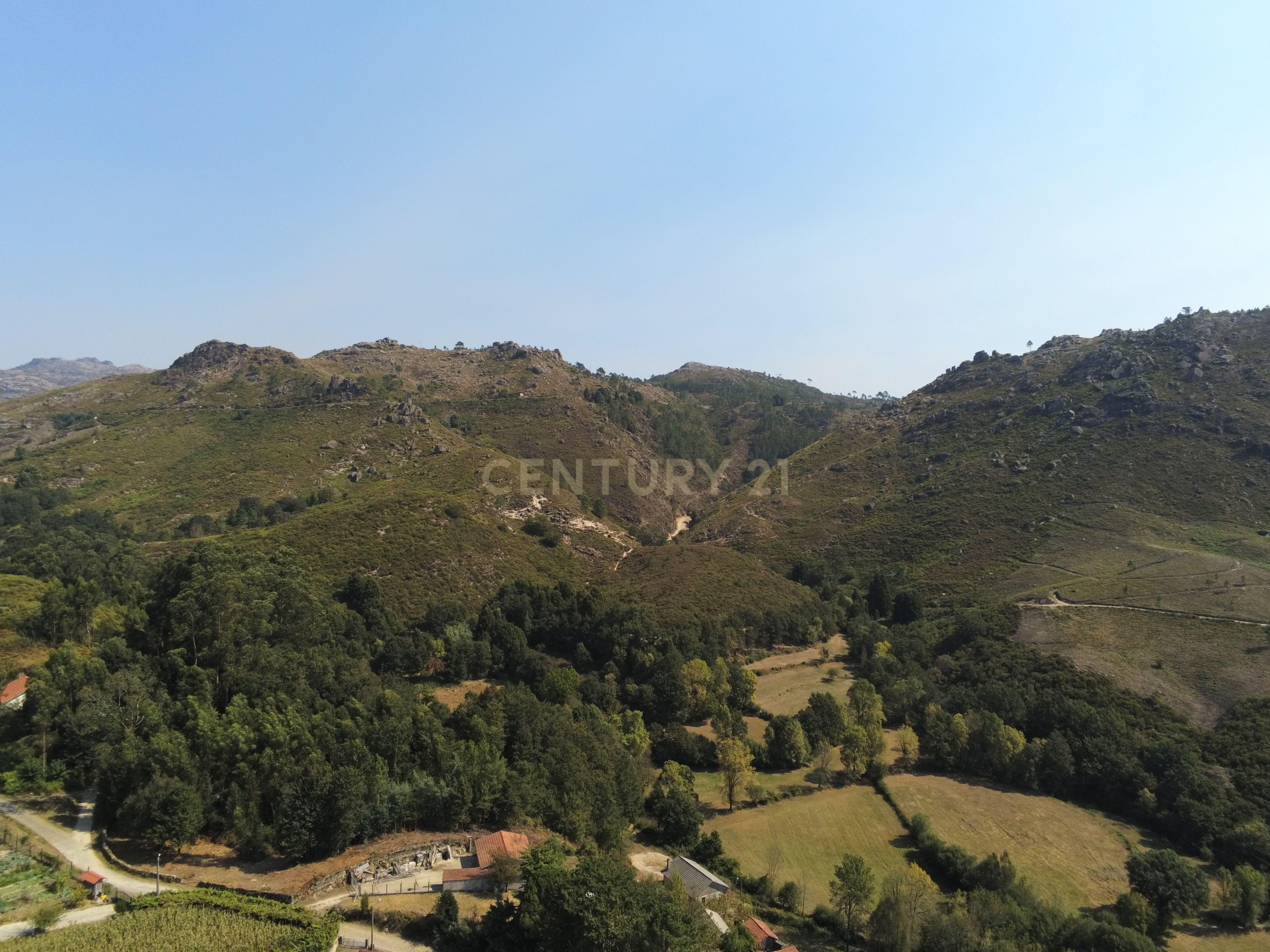 Moradia Térrea com 10.000m2 tereno no Gerês - Image 29