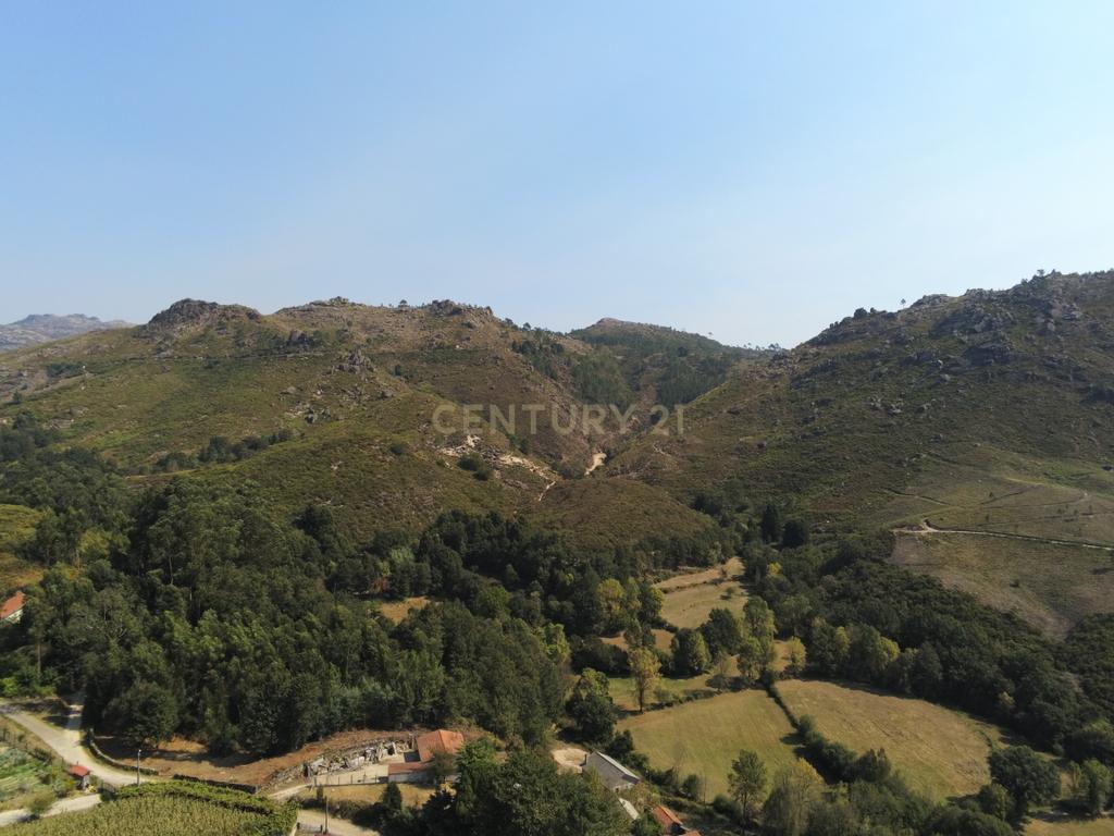 Moradia Térrea com 10.000m2 tereno no Gerês - Image 22