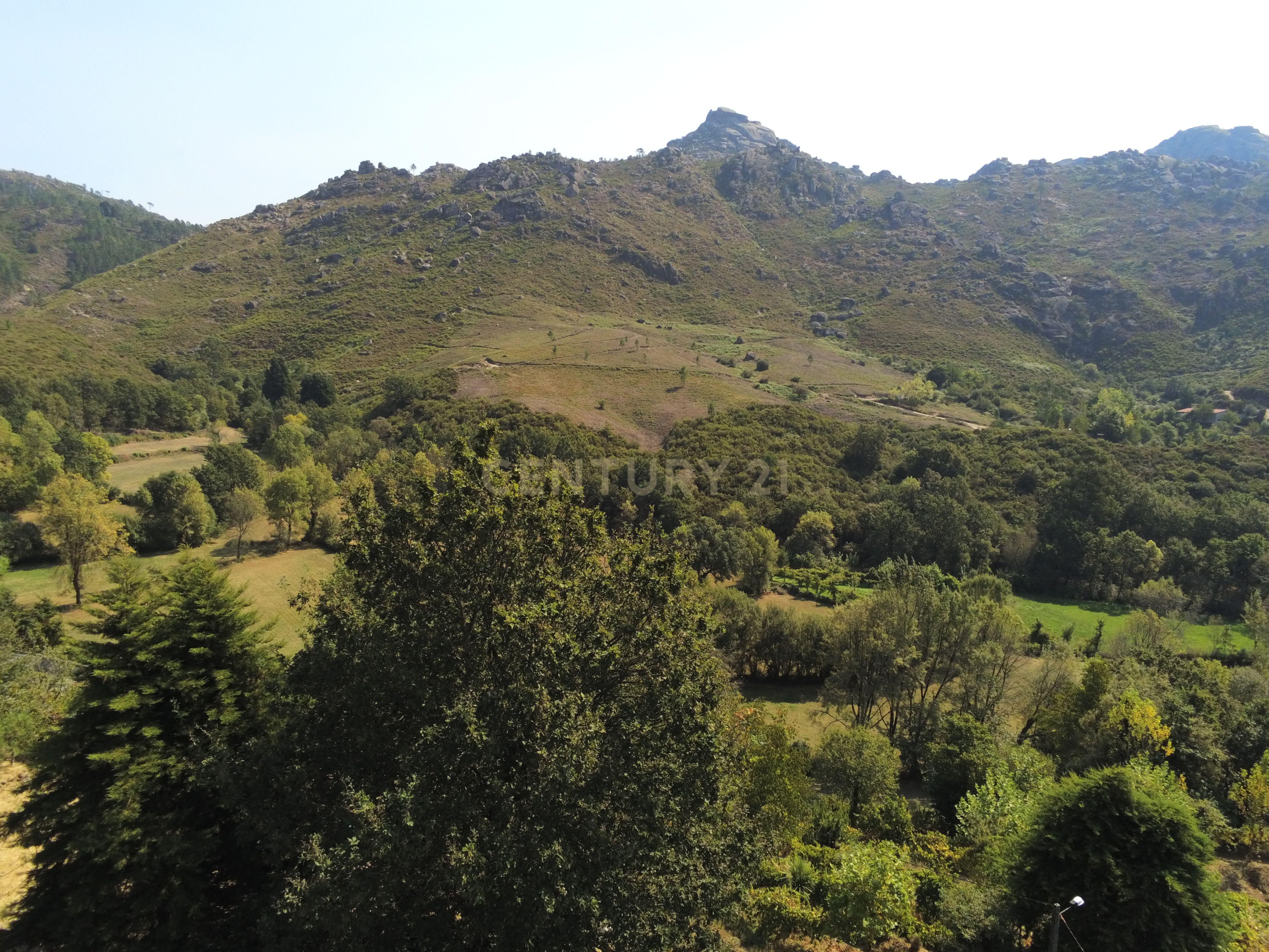 Moradia Térrea com 10.000m2 tereno no Gerês - Image 12