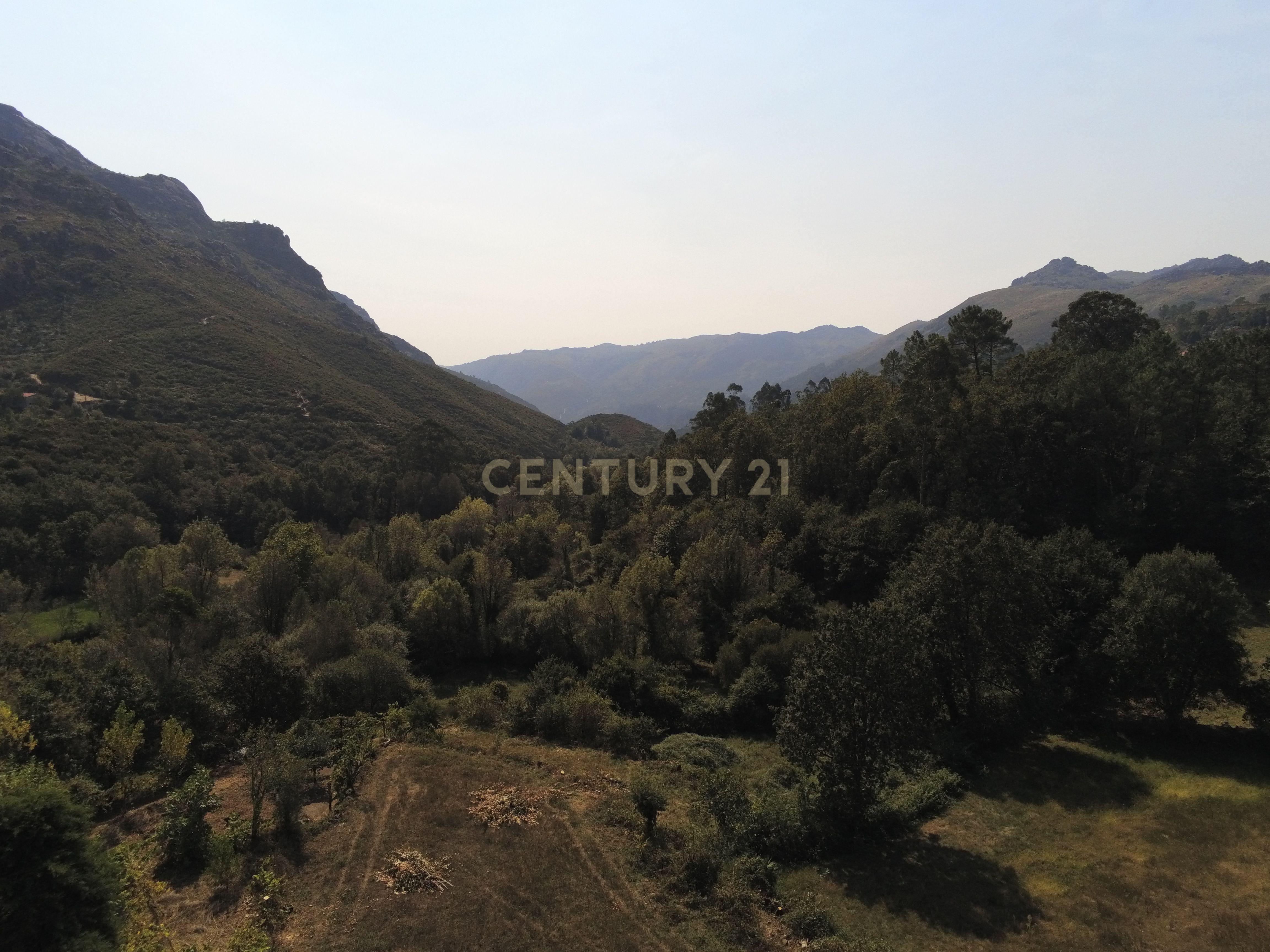 Moradia Térrea com 10.000m2 tereno no Gerês - Image 13
