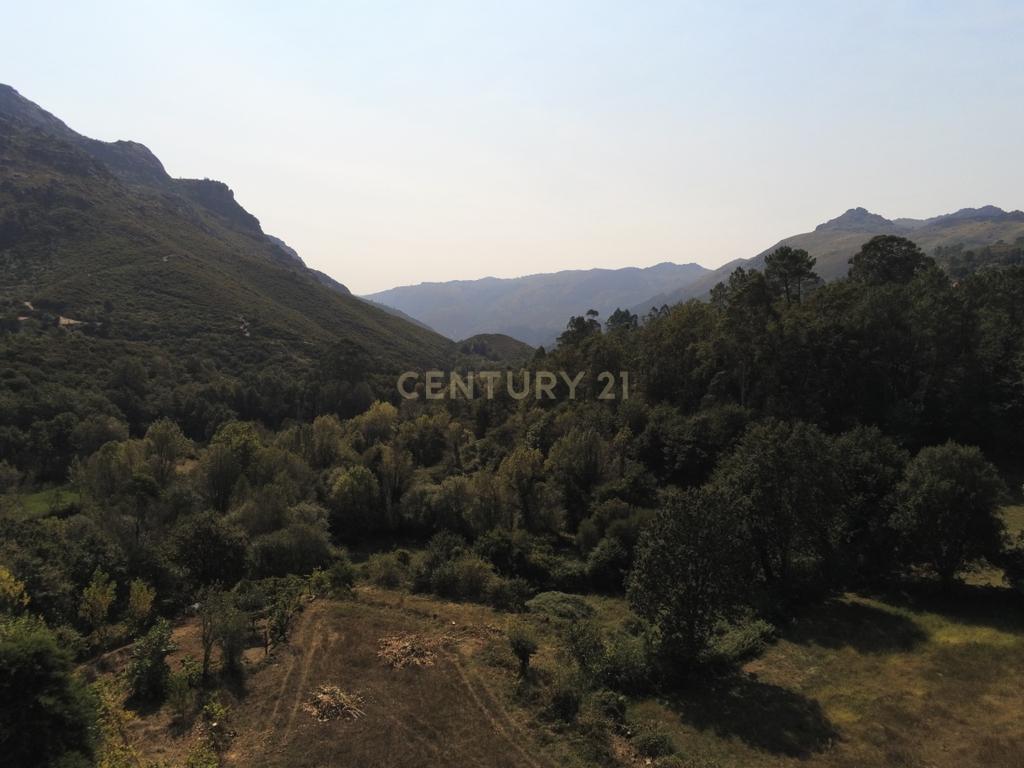 Moradia Térrea com 10.000m2 tereno no Gerês - Image 10