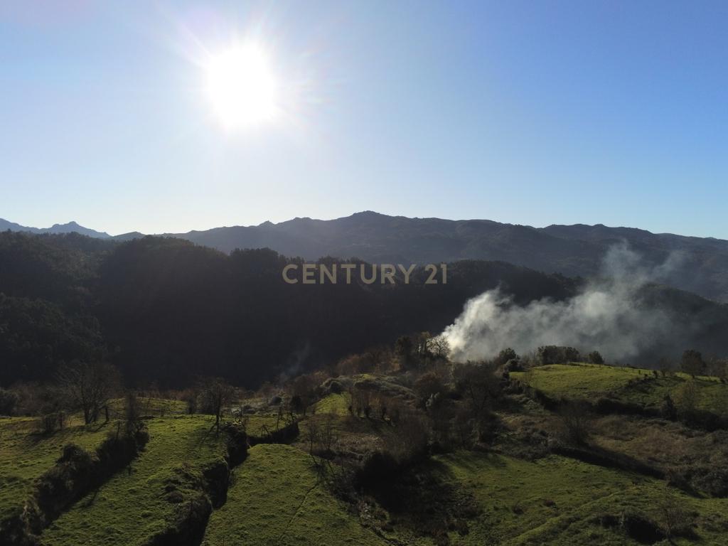 Magnífica Casa em Pedra no Gerês – Um Refúgio Único na Natureza - Image 7