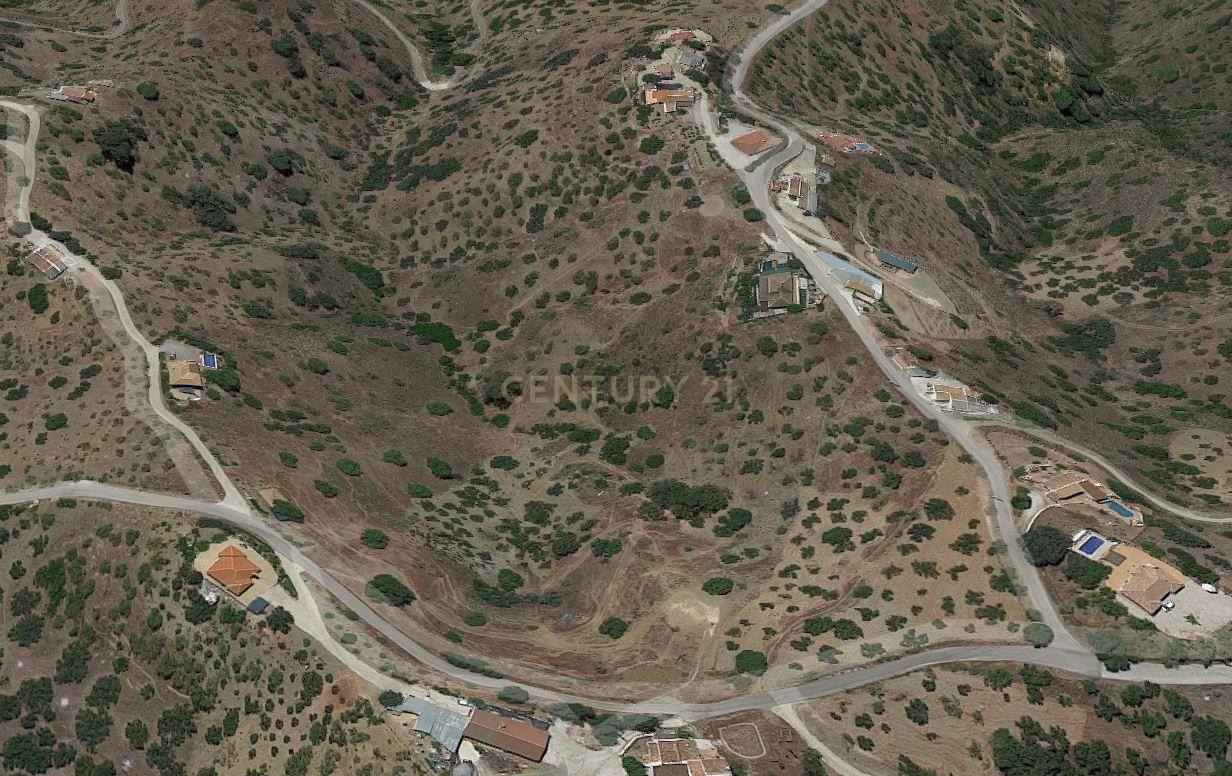 undefined - Image 15