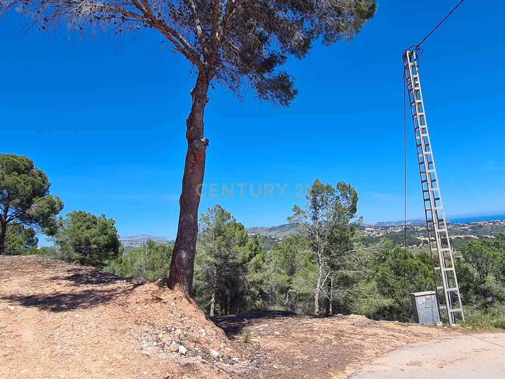 undefined - Image 8