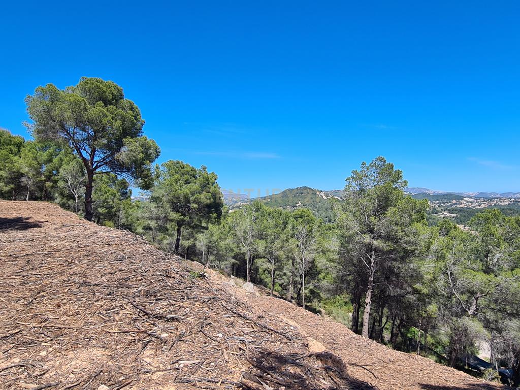 undefined - Image 13