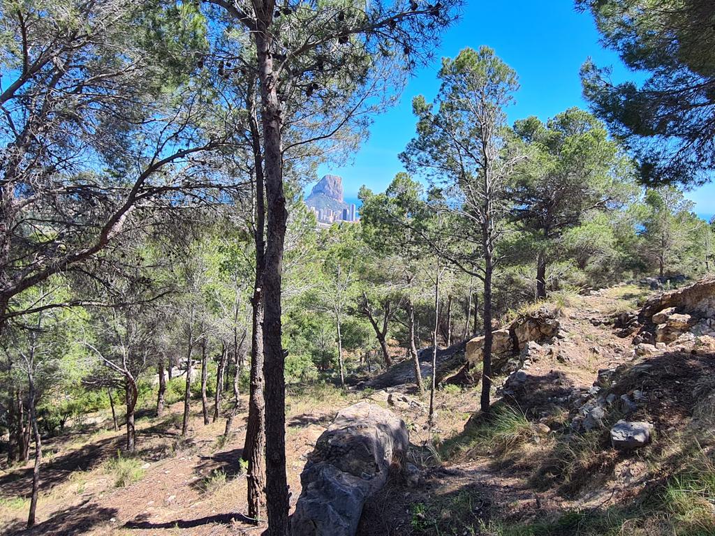 undefined - Image 12