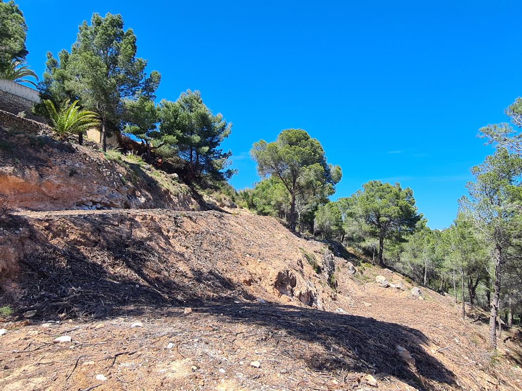 undefined - Image 6