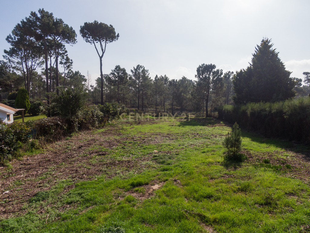 Terreno para construção na Herdade da Aroeira - Image 5