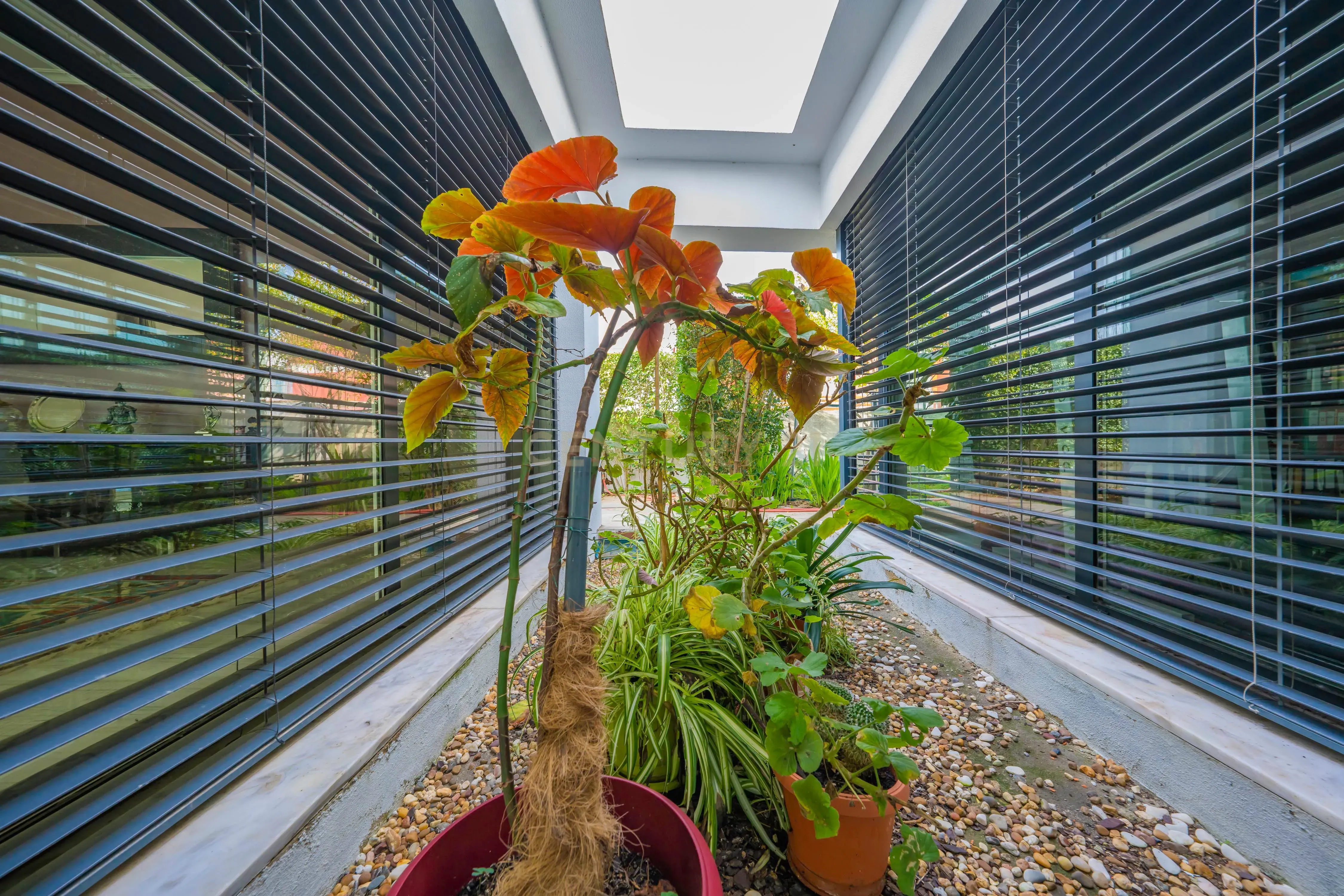 Magnífica Moradia Térrea T3 c/ Piscina, no Penteado, Moita - Image 14