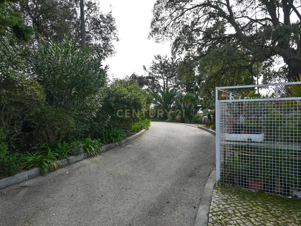 Quinta Paio Pires T5 em terreno de 17200m2 - Image 39